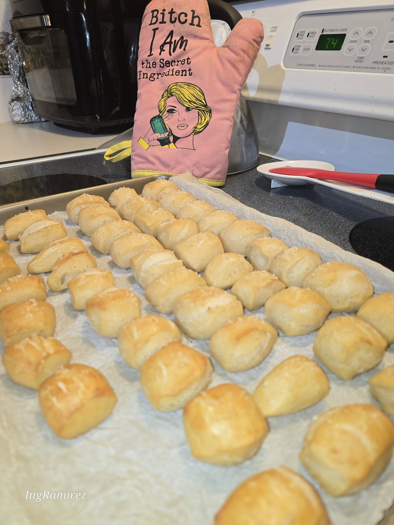 Bitch I Am the Secret Ingredient oven mitt