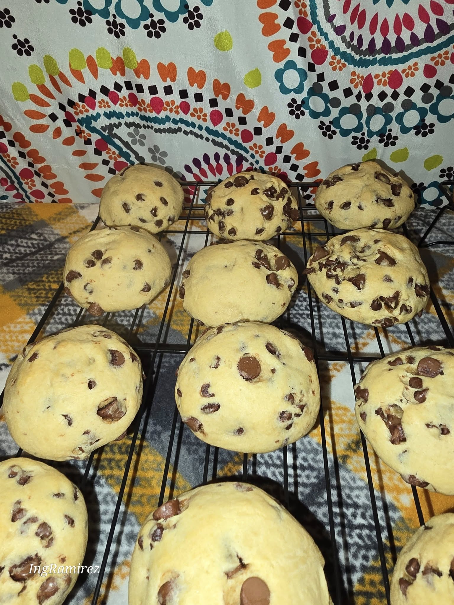 Cake Style Chocolate Chip