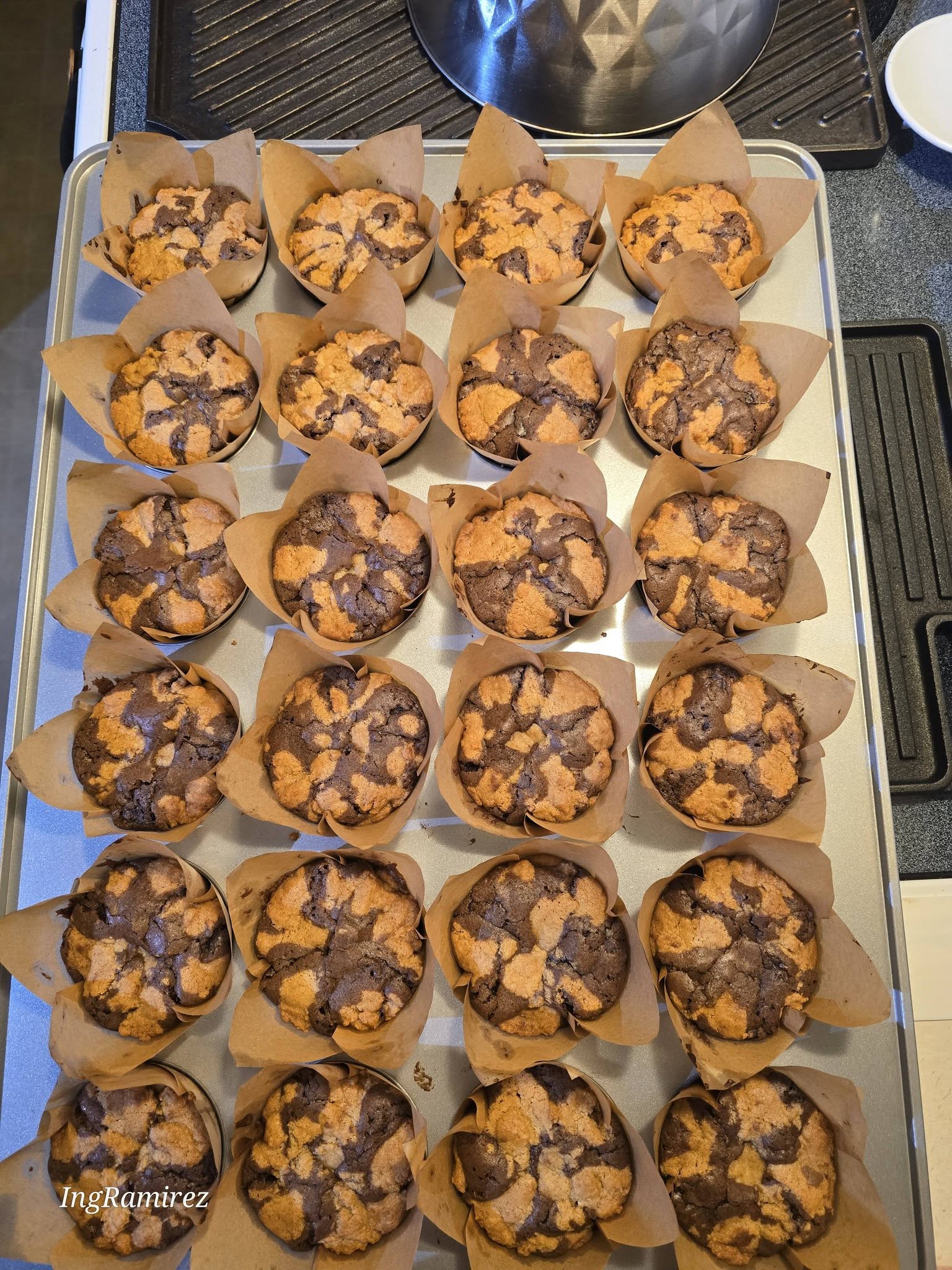 Double Chocolate Muffins